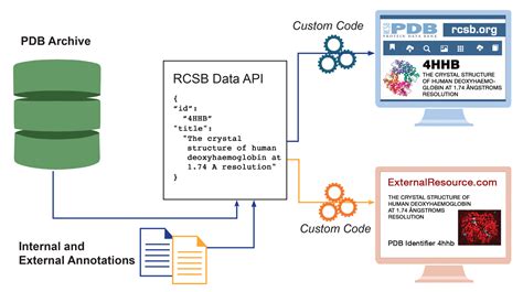 rcsb pdb|rcsb pdb download.